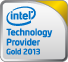 Intel Technology Provider Gold 2013